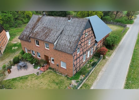 Attraktiver Resthof mit großer Scheune, Stallgebäude und Wiese im schönen Wendland
