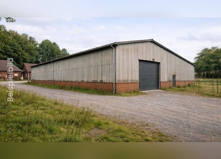 Attraktives Grundstück mit Hallenbebauung und Pferdeboxen - Heede, PLZ 26892