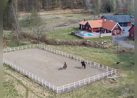 Country Living and Equestrian Lifestyle in Perfect Harmony – Beautiful Home with Pool, Deck, 3,3 ha