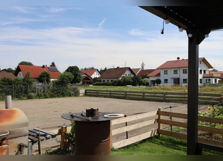 Einfamilienhaus Neubau mit 2,5 WE *Pferdehaltung* 1786 m² *provisionsfrei*