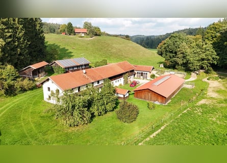 Einzigartiger Pferdehof in traumhafter Alleinlage – ca. 4 ha Eigenland, zwei Wohnhäuser und moderne