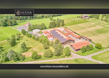 Hochwertige Reitanlage in Nieder-Moos mit optimalen Trainingsbedingungen in See-Nähe!