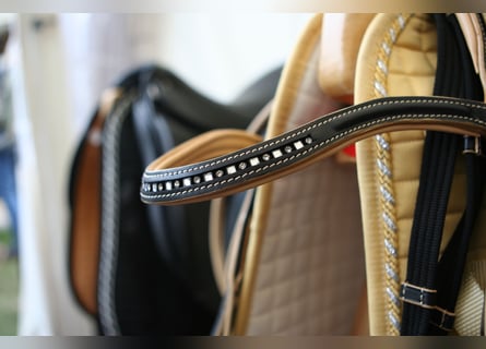 Hochwertige Reitsportanlage in Rheinhessen – Großer Sport! V14310