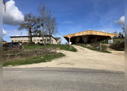 Komplett einsatzbereiter Reitstall!