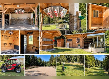 Landgut bei Birkfeld (Steiermark) - Pferdehaltung für bis zu 5 Pferde direkt am eigenen Zuhause