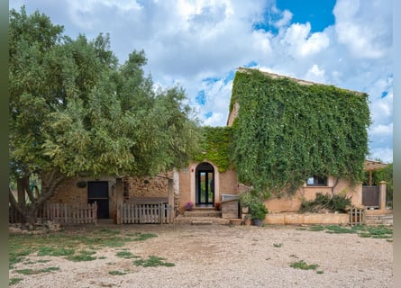 MALLORCA: Finca mit professioneller Reitanlage