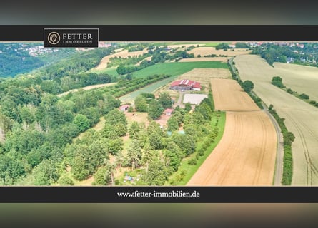 Reitanlage mit Panoramablick in Battenberg (Pfalz) – Einmalige Alleinlage !