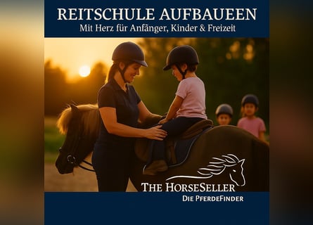 Reitschule gründen – auf professioneller Anlage mit voller Unterstützung