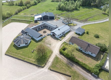 Springfield Farm – Eine exklusive Liegenschaft mit internationalem Potenzial, 8 ha