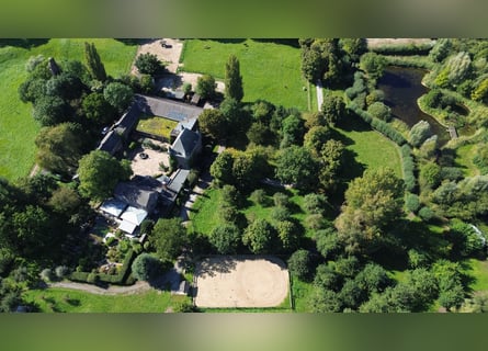 Wohnanlage mit historischem Flair auf Parkgrundstück mit eigenem See für Natur- und Tierliebhaber!