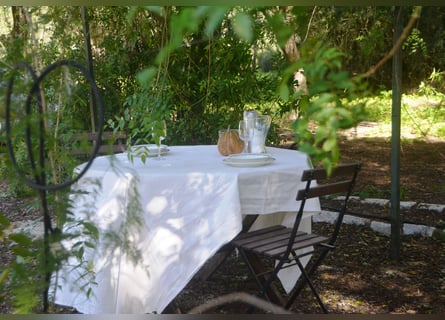 Wunderschöne Finca inmitten herrlicher Natur