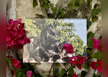 Menorquinkalender 2026 inkl. Versand in DE