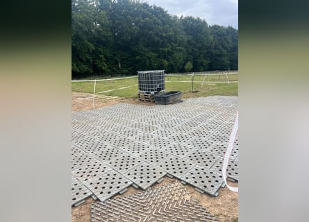 Paddockplatten/Kunststoffplatten von Pegasus Paddock