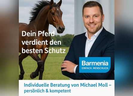 Pferde OP-Versicherung 