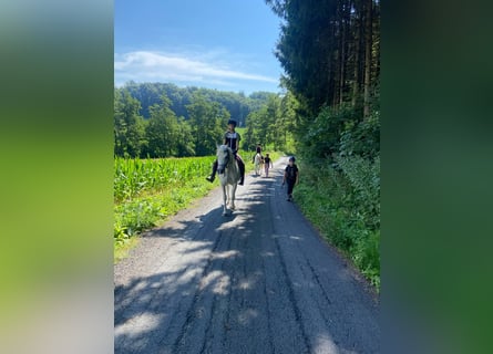 Reiterferien-mehr als nur Reiten