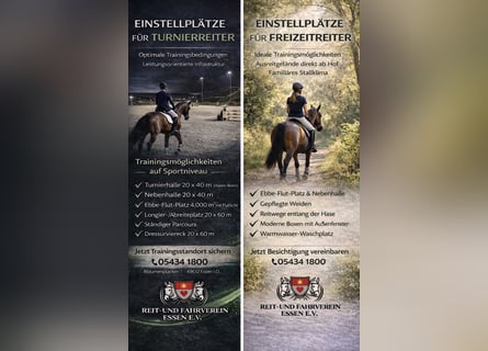 Boxen aufgrund Bereiterwechsels zum 01.04. frei