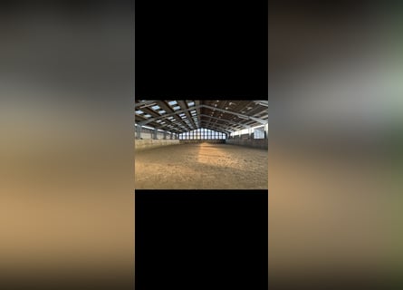 Kurplatz & Vollservice bei Niebüll – Ideal für Atemwegspatienten & vielbeschäftigte Besitzer
