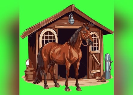 PLZ 49624 * gegen Hilfe *BOX RUNDUM-SORGLOS-PAKET für STUTE / ZUCHTSTUTE /RENTNER