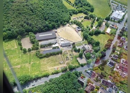 Vollpensionsbox auf gepflegter Sportanlage 