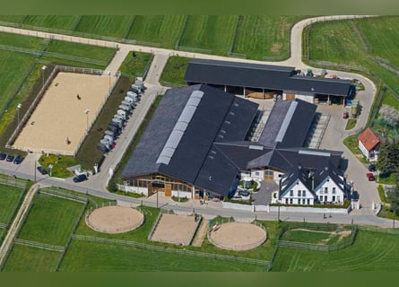 Paddockboxen 