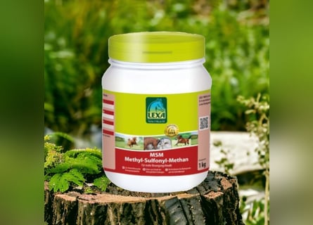MSM (Methyl Sulfonyl Methan) 1kg UVP 20,80€