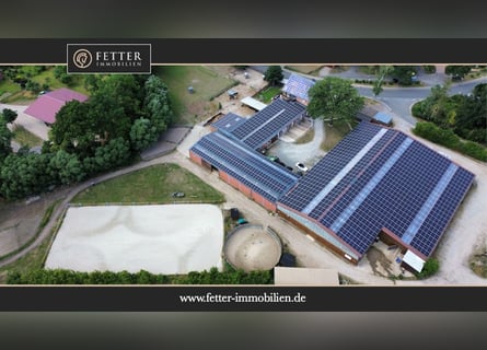 Großzügige Reitanlage zu verkaufen mit zwei Reithallen für den ambitionierten Sportler!