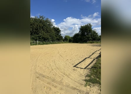 Kirchhellener Reitsand