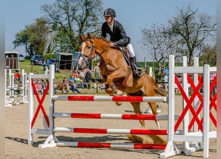 Springparcours