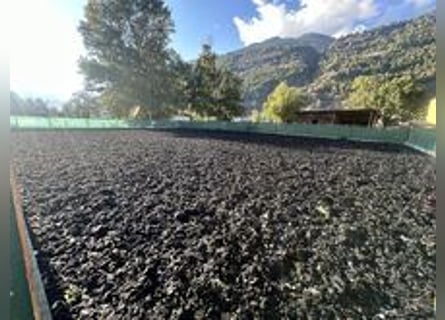 extilschnitzel für Reitplatzboden – Softground ca. 8.8 t günstig