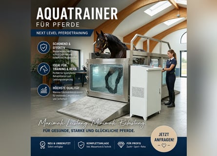Premium Aquatrainer Pferd Edelstahl – Neu & unbenutzt