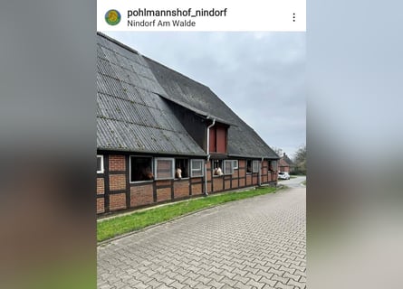 Wir brauchen Unterstützung im Stall, kein Misten