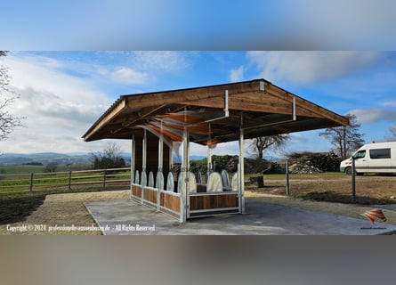 Futterraufen & Heuraufe, Pferderaufe und Fressgitter TOP-ACTIVE Fressgitter Perfekt Pferdehaltung