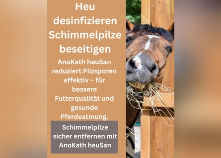 Heu Desinfizieren AnoKath® heuSan Konzenrat