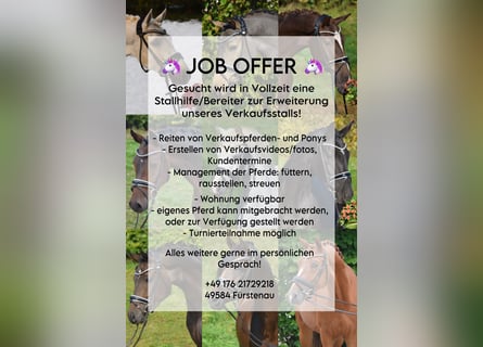 Bereiter in Verkaufsstall gesucht 