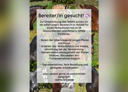 Bereiter (m/w/d) in Vollzeit gesucht!
