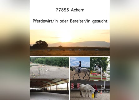 *** Pferdewirt/in, Bereiter/in, Praktikant/in gesucht ***