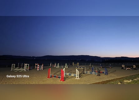 Bereiter/in in privater Reitanlage Festanstellung oder Freelancer