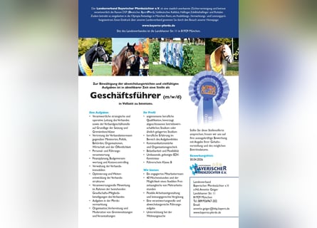 Geschäftsführer (m/w/d)