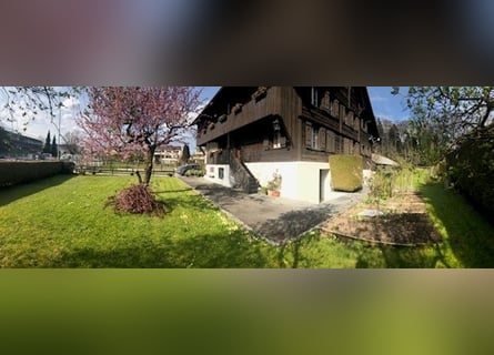 Pferdewirt/in – Fachrichtung Pferdehaltung und Service (100 %) SCHWEIZ