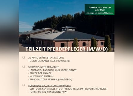 Ab März: Teilzeit Stallhilfe/Pferdepfleger (m/w/d)