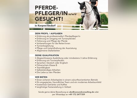 Pferdepfleger/in Vollzeit in 50170 Kerpen gesucht 