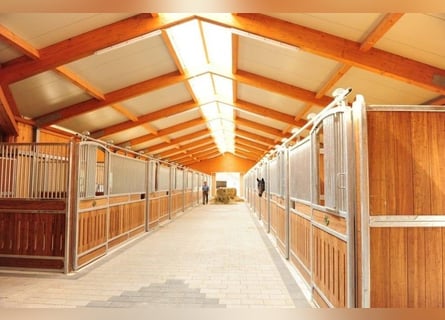 Pferdewirt*in, Pferdepfleger*in oder Quereinsteiger*in gesucht