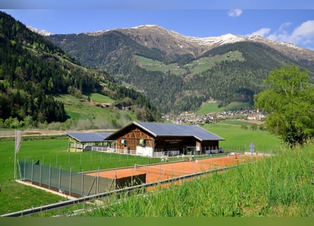 Reitlehrer/in für das Hotel Stroblhof in Südtirol gesucht