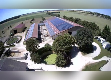 Stallhelfer, Stallkraft Stallmitarbeiter nach 50374 gesucht