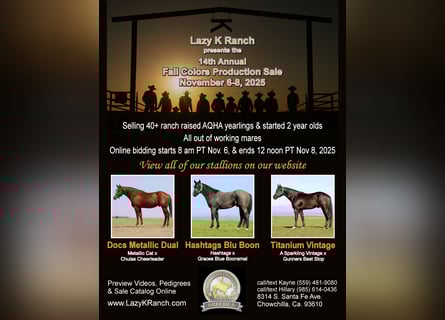 Lazy K Ranch's 14th Annual Fall Color Production Sale
