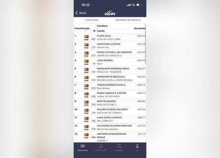 KWPN, Ruin, 9 Jaar, 174 cm, Bruin