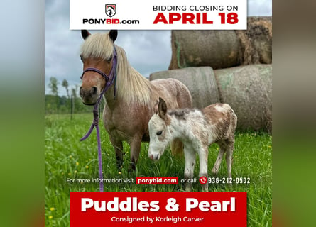 Más ponis/caballos pequeños, Yegua, 10 años, 91 cm, Ruano alazán