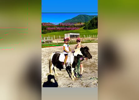 Meer ponys/kleine paarden Mix, Merrie, 9 Jaar, 110 cm, Gevlekt-paard