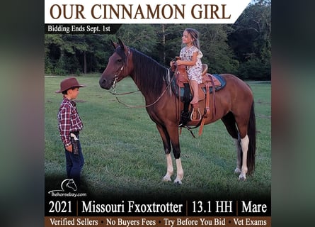 Missouri Foxtrotter, Stute, 5 Jahre, 135 cm, Rotbrauner