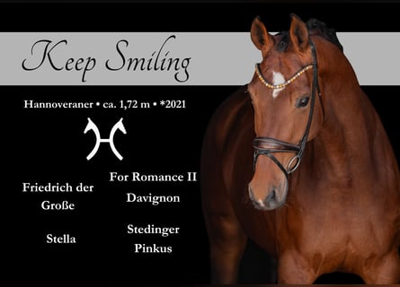Niemiecki koń sportowy, Klacz, 5 lat, 172 cm, Gniada